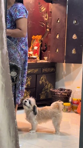 The Joy of Puppy Love and Snack Time