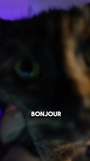 Salem et ses folies en live - Épisode hilarant !