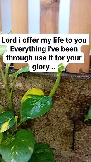 #lordioffermylifetoyou #useitforyourglory #alwaysthankfultoGod | Elma Huiso