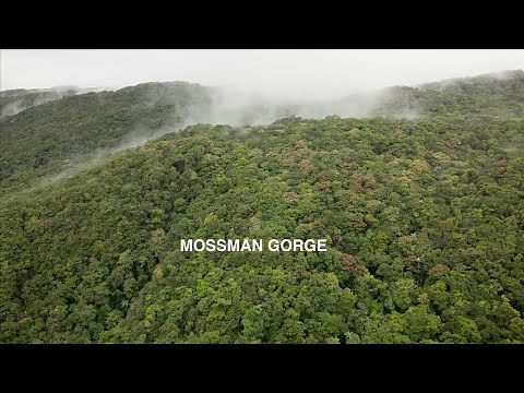 Take virtual tour through the Daintree - Mossman Gorge