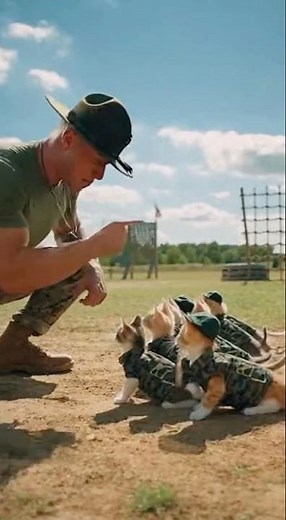 Cats in U.S. Army Boot Camp | Epic Military Training