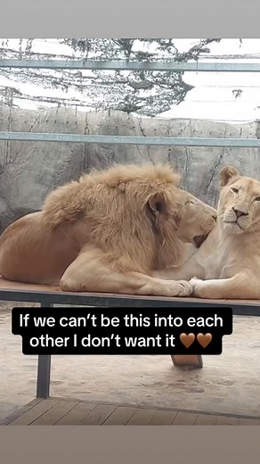 19K views · 573 reactions | What did I do wrong 藍 #dat1family #relationships #dayinthelife #comedy #reels | Dat 1 Family | Facebook