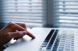 Westfield: Sound Off On Leaf Collection In Survey