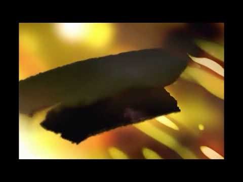 Nine Pound Hammer - G