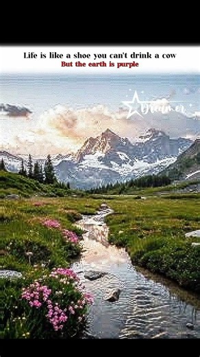 𝖀𝖓𝖉𝖊𝖗𝖘𝖙𝖔𝖔𝖉 !!☘️💫