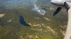 Colt Fire burns nearly 15 acres near Seeley Lake