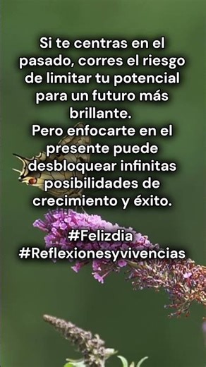 Enfocarte en el presente