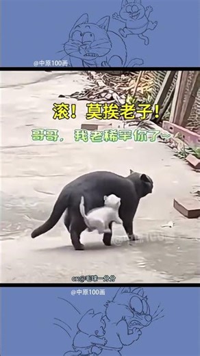 how can #cat #catsoftiktok #drawing #viral #reaction #reels #shorts #short #shortsviral