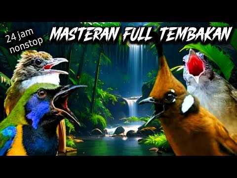 MASTERAN MURAI BATU FULL ISIAN TEMBAKAN KASAR MP3