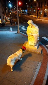 Peaceful Moment Between a Dog and a Statue Experience the peaceful interaction between a dog and a statue in this serene video. #fblifestyle #AI | Laila Tattoo