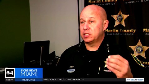 Florida sheriff’s office enlists otter Splash in underwater search‑and‑rescue missions