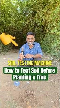 Essential Soil Testing Tips for a THRIVING Tree Plantation