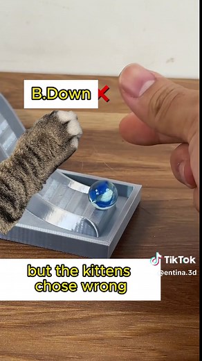 Just unleashed my creativity with Tina2s 3D printer! 🚀 Printed out these mind-bending optical illusion models that will have you questioning reality! 🔮 Which one is your favorite? #3DPrintingMagic #Tina2s #opticalillusions