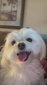 60K views · 10K reactions | So it’s Saturday and there is no sleeping...