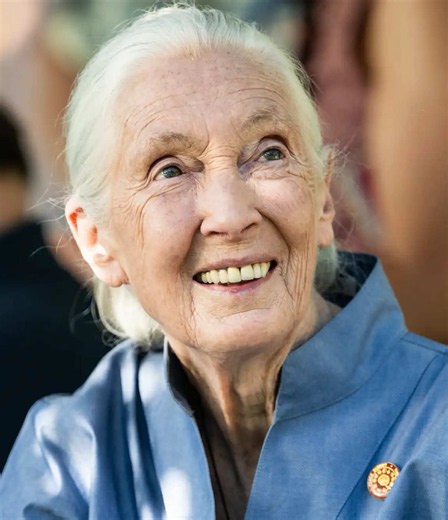 Jane Goodall on Small Acts of Kindness: Simple Ways to Make Someone Smile