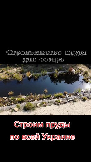 Constructing a Beautiful Backyard Pond: Step by Step