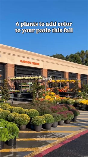 We’re falling for all the colors in the Garden Center 😍🍂🌻 Get inspired: https://thd.co/4gzPtHT | The Home Depot
