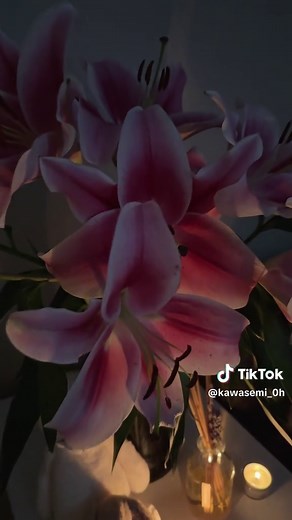 My Favorite Flowers: Exploring Beautiful Lilies