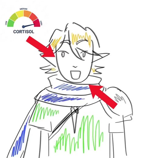 Understanding High Cortisol Levels and Their Impact