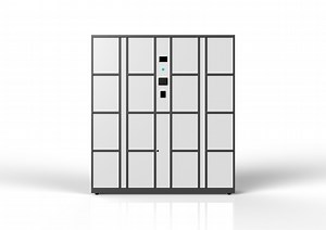 Sleek Modern 6-Door Metal Locker for Stylish Office Use