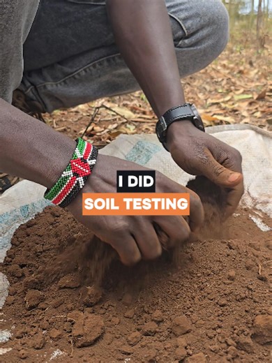 Understanding Soil Needs for Successful Farming