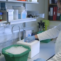 Tuning Degradation to Achieve Specific and Efficient Protein Depletion