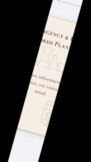 I finally organized everything for my pet 🐶🐱 Vet visits, meds, emergencies, expenses — all in one cozy planner. ✨ Printable • Instant download 🐾 Etsy link in comments #petplanner #petcare #etsyshop #digitalplanner #petparents