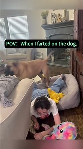 Funny and cute dogs compilation#funnydogs#cute#doglover#doglife#cure#dogshorts#pet#doglife#dogshorts