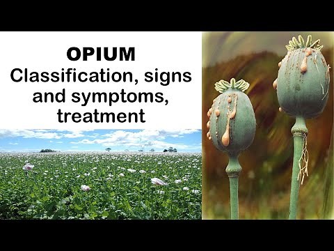 OPIUM- Classification, signs & symptoms, treatment