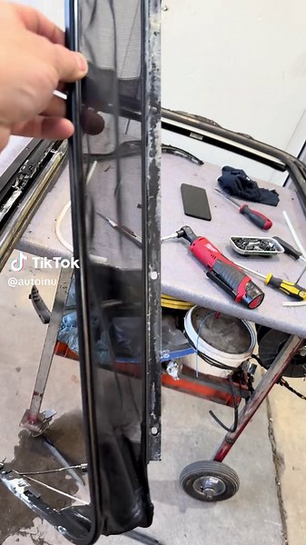 #Sastricat: Explore the Tiguan with Panoramic Features