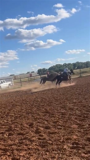 Footage of the Bronc Riding team in an intense practice session to sharpen their skills for a competitive intercollegiate season. This is just a snippet of the heart-pounding show awaiting us at our Home Rodeo next week! #rodeo #broncrider #collegesports #college #tucumcari | Mesalands Community College