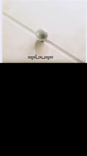 Oddiy odam (@oddiylikbarqarorlik0)’s videos with original sound - Oddiy odam