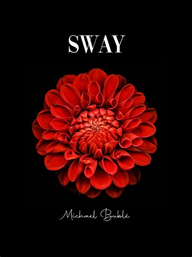 Sway Lyrics: Discover the Meaning Behind the Song