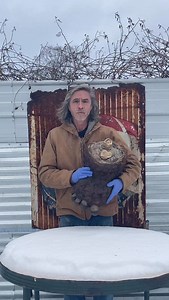 1M views · 26K reactions | All the Bigfoot have been kept in freezers for over 70 years so they are very dried out. It’s hard to say if all water is removed so they are still stored in freezers #bigfoot #sasquatch #cryptid | Peter Caine Dog Training | Facebook