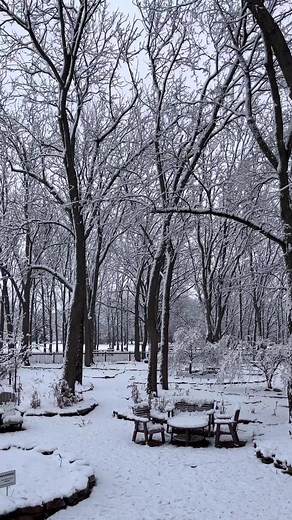 Experiencing Snow in Springfield, Missouri