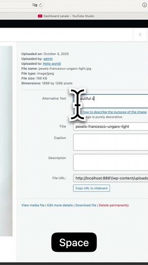 Add Alt Text to WordPress Images Fast