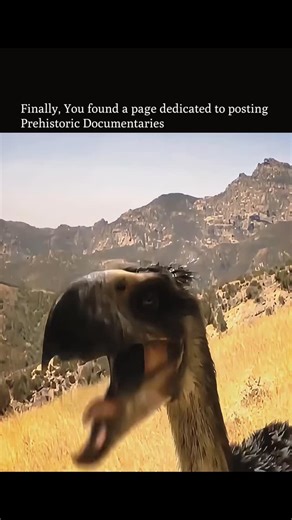 ⏰ 𝗙𝗼𝗹𝗹𝗼𝘄 𝘁𝗼 𝗴𝗼 𝗯𝗮𝗰𝗸 𝗶𝗻 𝘁𝗶𝗺𝗲 on Instagram: "Terror birds weren’t “dinosaurs”… but they absolutely moved like one. Picture a 6–10 foot tall predator built like a sprinting spear: long legs, a stiff athletic body, and a gigantic hooked beak that looks like it was designed to end fights fast. These birds hunted like land-based apex killers—closing distance in a burst, then using that beak like a hatchet: smash, rip, repeat. No claws needed, no fancy tricks—just speed, intimidatio