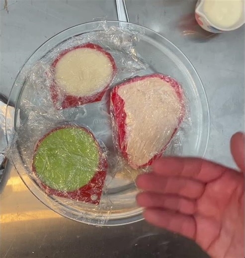 It’s that easy! ￼Puree Molds Ready For The Oven (Dysphagia Safe)