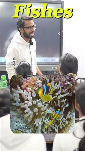 Chambers of Heart in Vertebrates | Animal Kingdom & Body Fluids & Circulation | Class 11 Biology