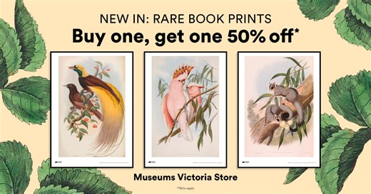3 comments | Introducing the new range of Rare Book prints, exclusive to Museums Victoria Store. For a limited time, you can buy one and get one 50% off, because our Rare Book prints look better together. These prints showcase some of the most intricately detailed illustrations of the natural world, featuring works from one of Australia's best collections of natural history literature. ️ Shop now: https://brnw.ch/21wUA6t | Museums Victoria | Facebook