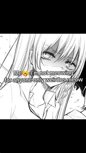 Terraria Meowing Moments: Fun and Quirky Reactions