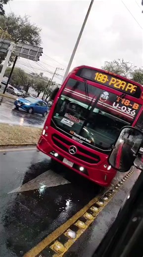 Mi Compa El Que Corrieron De Castores