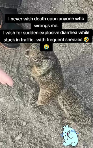 Top 10 Funniest Memes to Make You Laugh