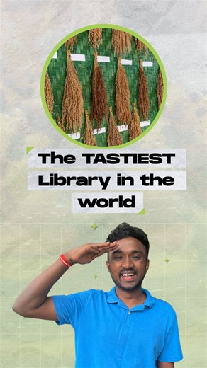 The Tastiest Library In The World♥️ - Mahan Borah, a visionary from Jorhat, Assam, created an exceptional library filled not with books, but with 300 diverse rice types collected across India. - He celebrates their special qualities, like fever relief and resilience against storms. - In a land where rice is a staple, he breaks traditions, promoting the delicious and nourishing local rice over mass-produced options. - Mahan's journey safeguards endangered rice varieties, giving birth to the world