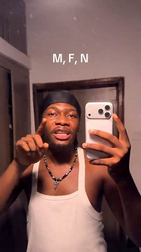 iPhone Model Number Explained: M, F, N