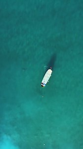 There's more to the Florida Keys than what you see on the surface. Dive a little deeper and discover the only barrier reef system in North America, where vibrant corals and mesmerizing marine life await. | Cheeca Lodge & Spa