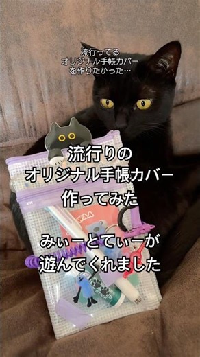 流行りのオリジナル手帳カバー作ってみたけど…🐾