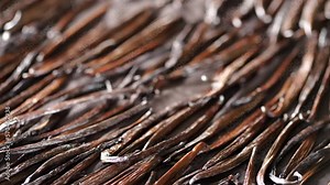 Slow tilt of curing and drying vanilla beans after harvest of green vanilla beans