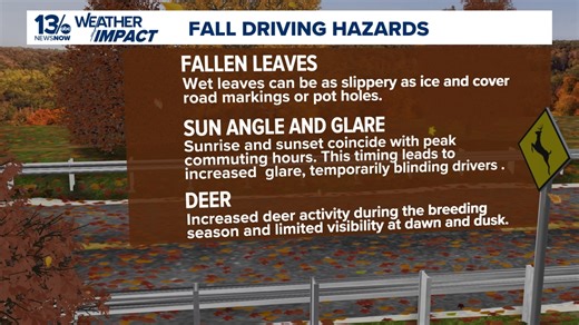 Fall driving hazards: Wet leaves and sun glare require extra caution