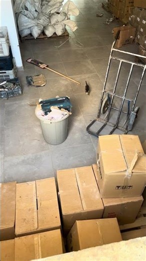 A cat who just gave birth in the house's storage room #elifecrin #dadplaying #funny